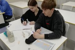 	11 кл практ 2025
