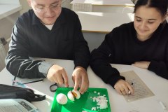 ЛР Строение яйца