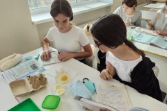 ЛР Строение яйца