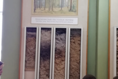 Музей почвоведения