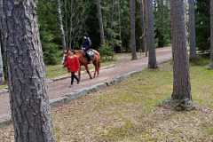 Изображение-WhatsApp-2025-05-05-в-09.38.01_6be49d2a