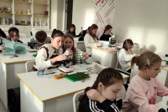 хвоя и пыльца