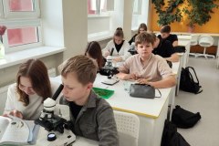 хвоя и пыльца