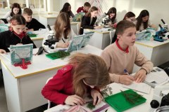 хвоя и пыльца