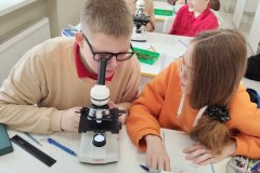 хвоя и пыльца